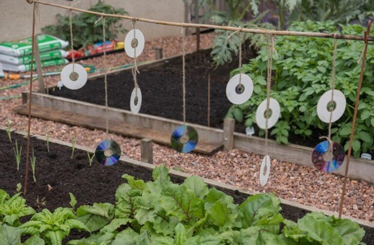 How To Keep Your Koi Fish Pond Safe From Predators? How To Keep Your Koi Fish Pond Safe From Predators?