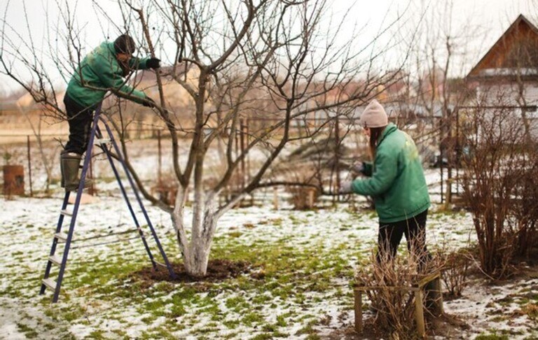 Top Early-Spring Garden Chores To Tackle
