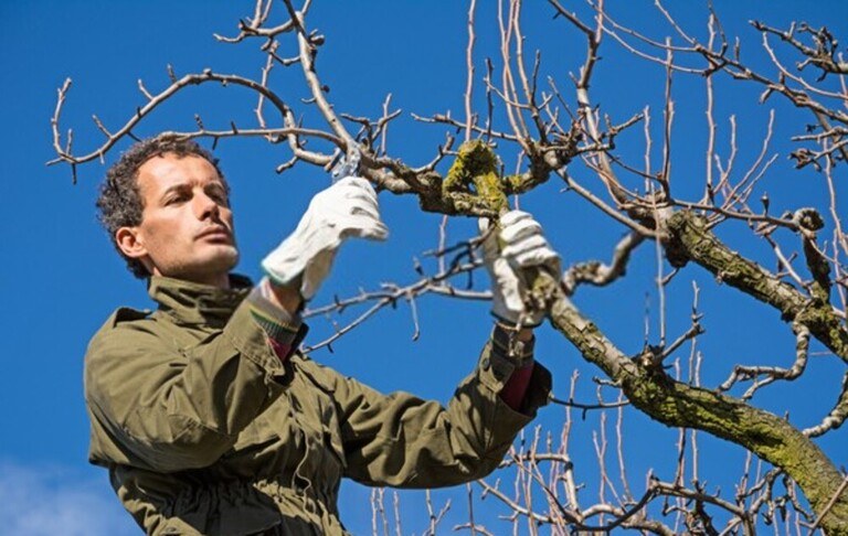 Top Early-Spring Garden Chores To Tackle