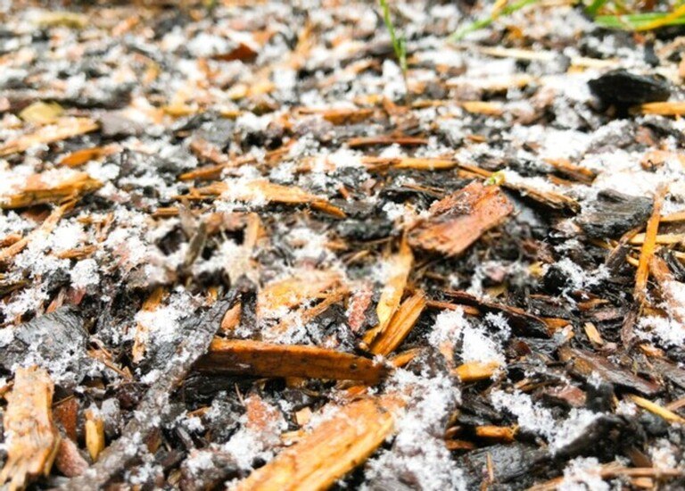 Top Early-Spring Garden Chores To Tackle