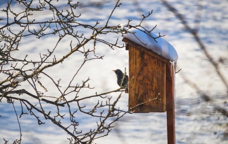 Top Early-Spring Garden Chores To Tackle Top Early-Spring Garden Chores To Tackle