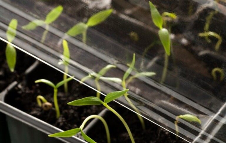 Top Early-Spring Garden Chores To Tackle Top Early-Spring Garden Chores To Tackle