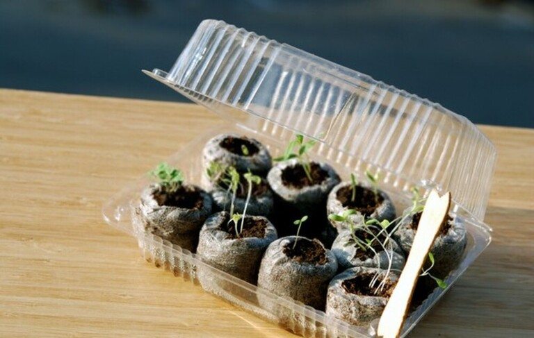 Top Early-Spring Garden Chores To Tackle Top Early-Spring Garden Chores To Tackle