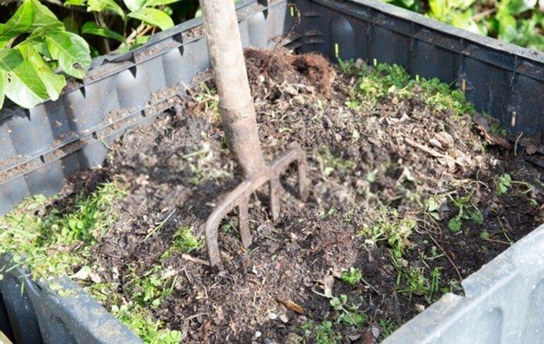 Top Early-Spring Garden Chores To Tackle Top Early-Spring Garden Chores To Tackle