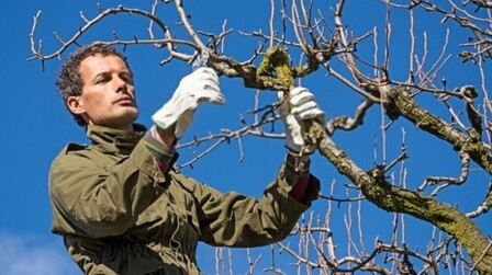 Top Early-Spring Garden Chores To Tackle