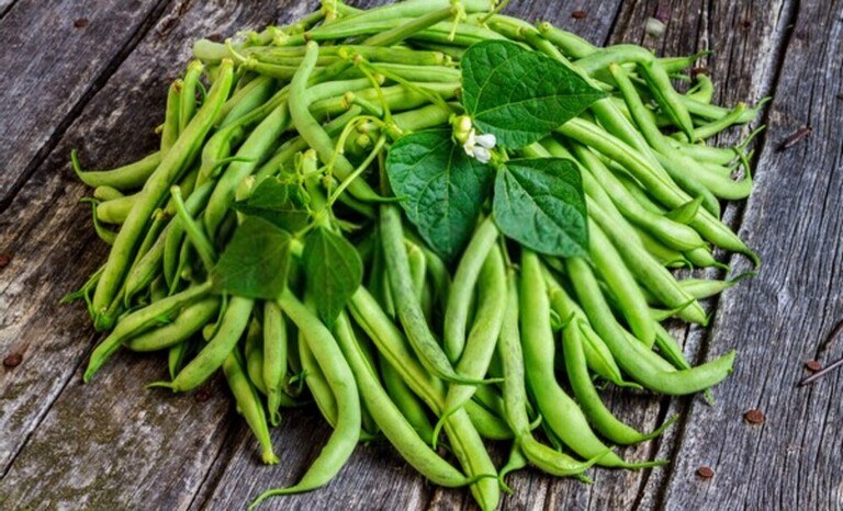 Best Frost Hardy Vegetables To Plant Best Frost Hardy Vegetables To Plant