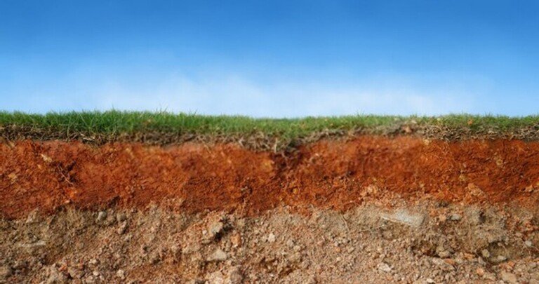 My Yard Is Always Wet And Muddy - How To Dry Up A Wet Yard? My Yard Is Always Wet And Muddy - How To Dry Up A Wet Yard?
