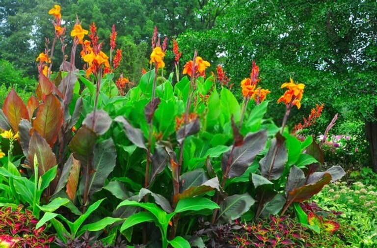 My Yard Is Always Wet And Muddy - How To Dry Up A Wet Yard? My Yard Is Always Wet And Muddy - How To Dry Up A Wet Yard?