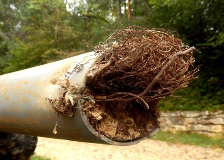 My Yard Is Always Wet And Muddy - How To Dry Up A Wet Yard? My Yard Is Always Wet And Muddy - How To Dry Up A Wet Yard?