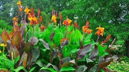 My Yard Is Always Wet And Muddy - How To Dry Up A Wet Yard?