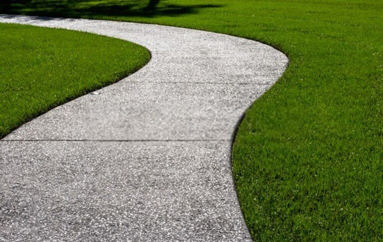 What Are The Different Types Of Grasses That Grow Best In Your Region?