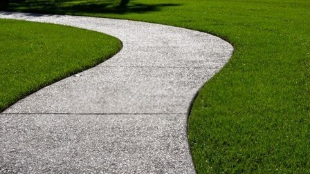 What Are The Different Types Of Grasses That Grow Best In Your Region?