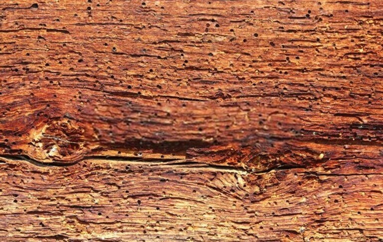 What Is The Best Way To Protect Outdoor Wood Furniture? What Is The Best Way To Protect Outdoor Wood Furniture?