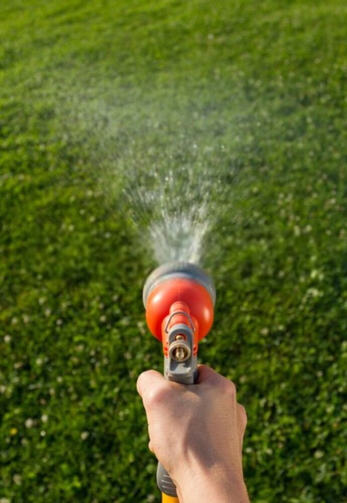 How To Revive A Dead Lawn? How To Revive A Dead Lawn?