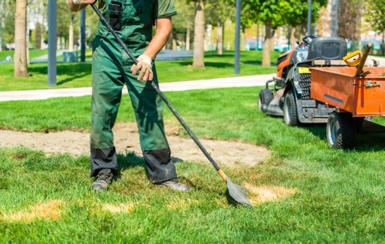 How To Revive A Dead Lawn? How To Revive A Dead Lawn?