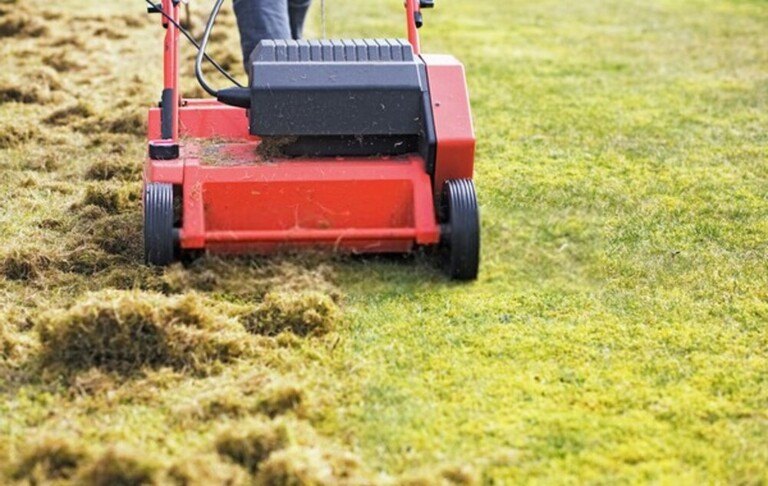 How To Revive A Dead Lawn? How To Revive A Dead Lawn?