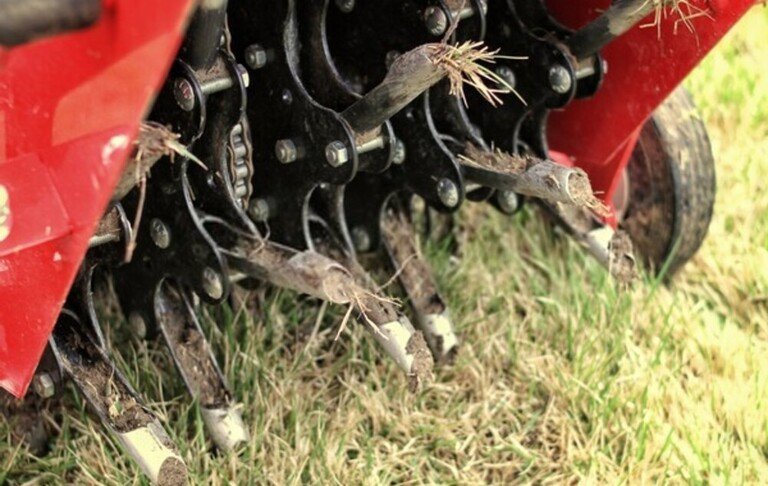 How To Revive A Dead Lawn? How To Revive A Dead Lawn?