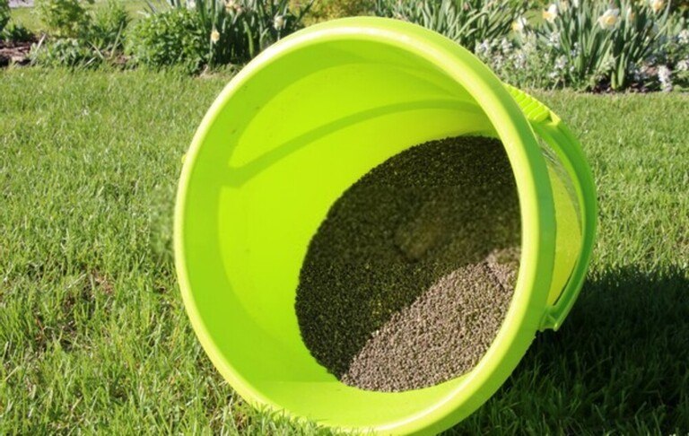 How To Revive A Dead Lawn?