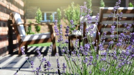 What Can I Put Around My Deck Instead Of Lattice?