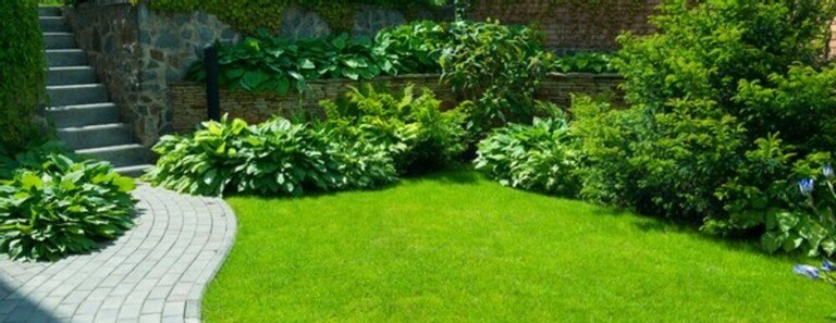 How To Care For Your Garden While On Vacation? How To Care For Your Garden While On Vacation?
