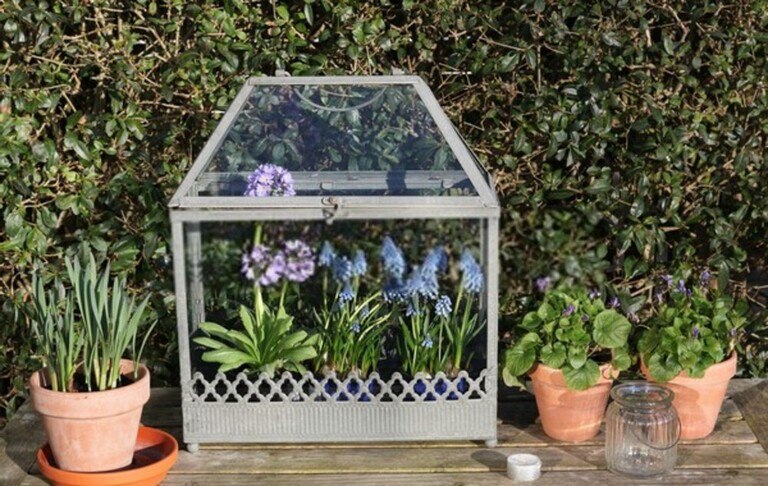 How To Care For Your Garden While On Vacation? How To Care For Your Garden While On Vacation?