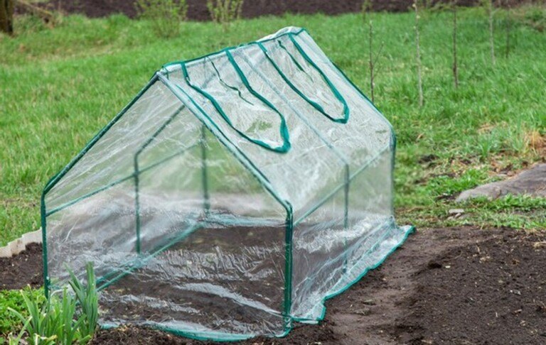 How To Care For Your Garden While On Vacation? How To Care For Your Garden While On Vacation?