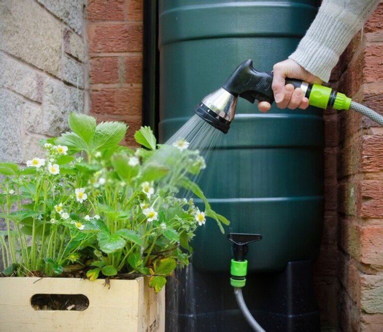 How To Care For Your Garden While On Vacation? How To Care For Your Garden While On Vacation?
