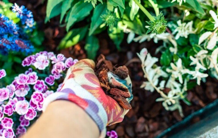 How To Care For Your Garden While On Vacation? How To Care For Your Garden While On Vacation?