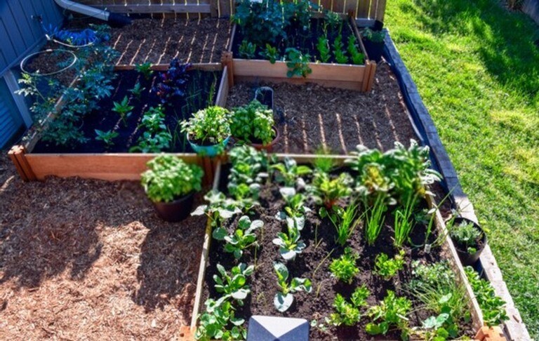 How To Care For Your Garden While On Vacation? How To Care For Your Garden While On Vacation?