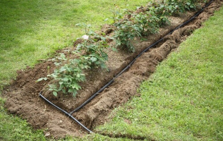 How To Care For Your Garden While On Vacation? How To Care For Your Garden While On Vacation?