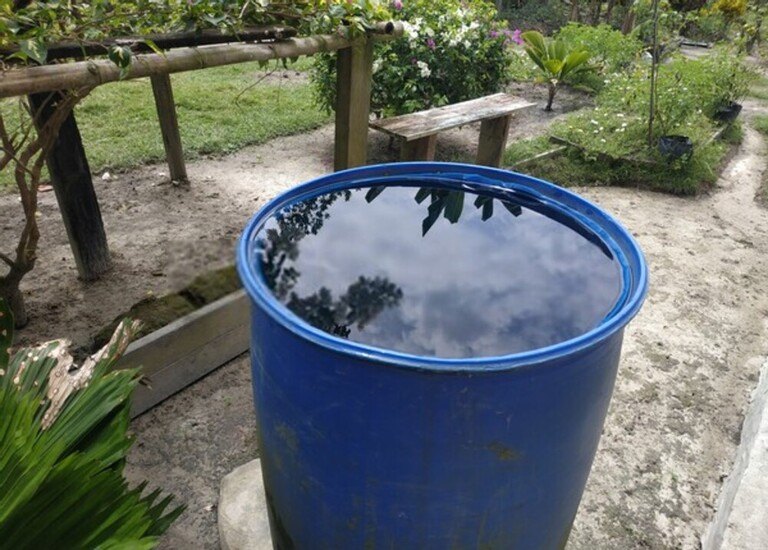 How To Care For Your Garden While On Vacation? How To Care For Your Garden While On Vacation?