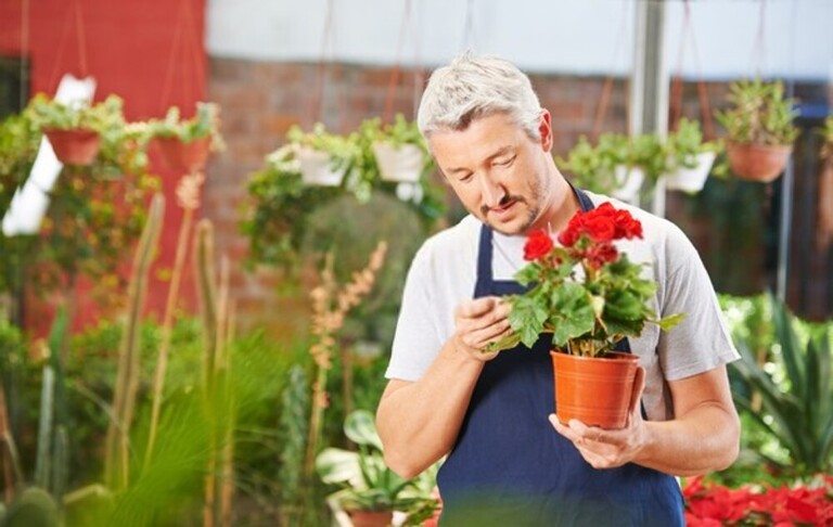 How To Care For Your Garden While On Vacation? How To Care For Your Garden While On Vacation?