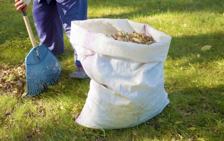 How To Care For Your Garden While On Vacation? How To Care For Your Garden While On Vacation?