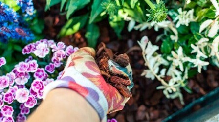 How To Care For Your Garden While On Vacation?